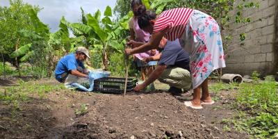 Cultive güicoy en casa