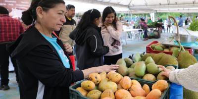 Mañana habrá Feria del Agricultor en Zacapa