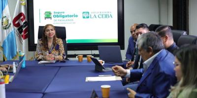 Refuerzan la gestión del Seguro Obligatorio para seguridad de usuarios del transporte extraurbano