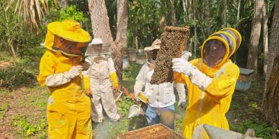 Asistencia técnica beneficia la sanidad de 3693 colmenas durante primer semestre de 2026