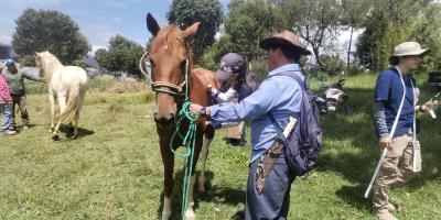 Atención técnica beneficia a caballos de trabajo en Sacatepéquez