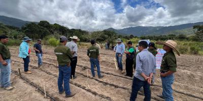 Productores de Baja Verapaz aprenden el manejo sostenible de suelos