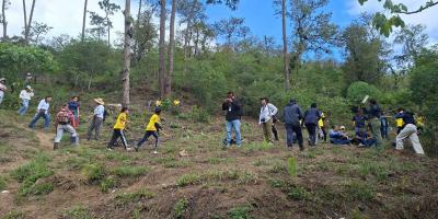 Actividad de reforestación fortalece la masa forestal en la cuenca del río Achiguate 