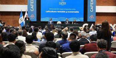 Congreso de la Caficultura promueve innovación y sostenibilidad de cultivo insignia