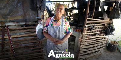 Diccionario Agrícola: Hogar Rural