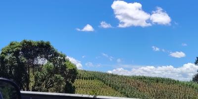 El calor será intenso en los próximos días y hay que tomar precauciones con cultivos y animales