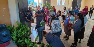 Entrega de frutales favorece la economía de comunidades agrícolas en Quetzaltenango