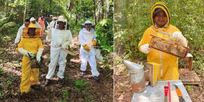 Extensionistas fortalecen conocimientos para mejorar el manejo de apiarios 