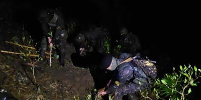 Ejército de Guatemala erradica más de 30 mil arbustos de hoja de coca en Alta Verapaz