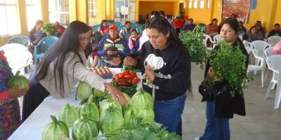 Feria del Agricultor en Tectitán impulsó el comercio de nueve CADER