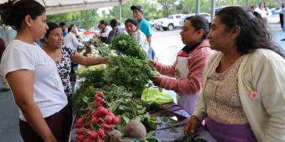 Feria del Agricultor impulsa la economía familiar de hogares capitalinos