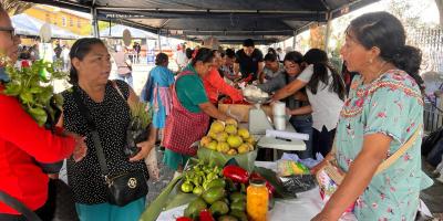 Feria del Agricultor impulsa la venta directa de hortalizas y productos artesanales en Ciudad Vieja