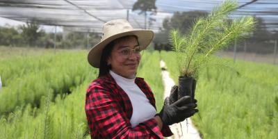 Más de 200 mil plantas para proteger nuestras cuencas