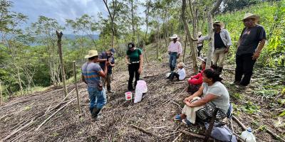 Implementan siembra de maíz con técnicas agroforestales y manejo de rastrojo