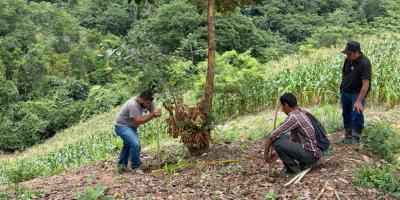 Implementan sistema de riego por goteo y reservorio en huertos grupales
