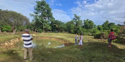 Impulsan cultivo de tilapia brindado asistencia técnica en Sayaxché