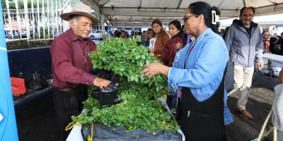 Los productos a precios accesibles de la Feria del Agricultor llegan a la zona 7