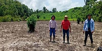 Monitorean cultivos de 110 municipios por el calor