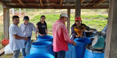 Nutren siembras de café y hortalizas por medio de agricultura orgánica