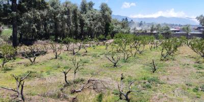 Onda del este podría favorecer lluvias a mediados de semana