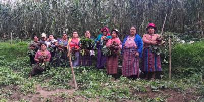 Huerto comunal asegura disponibilidad de alimentos a productores de San Marcos