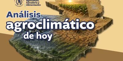 Reporte agroclimático del lunes 3 de agosto 2026