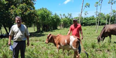 Recomendaciones para proteger cultivos y ganado ante el calor y poca humedad