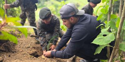 Ejército de Guatemala fortalece la conservación ambiental con jornadas de reforestación en Suchitepéquez y San Marcos