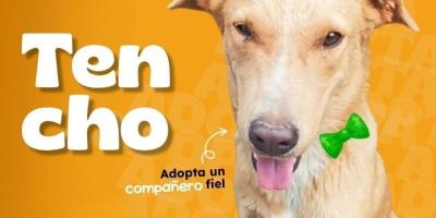 Hay un amigo esperándote