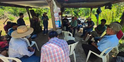 Cultivo de tilapia fortalece la seguridad alimentaria de familias de Santa Rosa