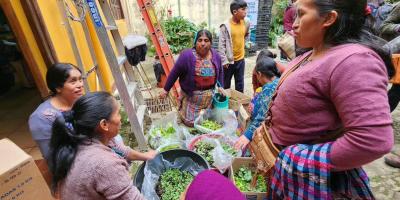 Familias de Momostenango reciben plántulas para establecer huertos familiares