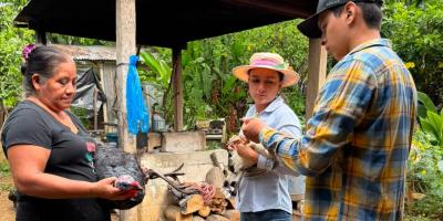 Productores de El Chal fortalecen la sanidad avícola