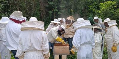 Productores apícolas fortalecen el control de Varroa para mejorar la sanidad de las colmenas