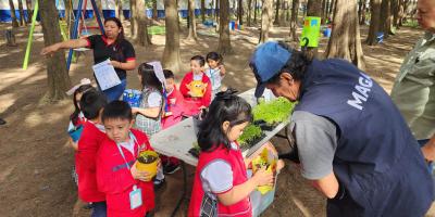 Estudiantes fortalecen conocimientos de agricultura, nutrición e higiene mediante actividades prácticas