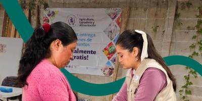 Más de 700 mil familias beneficiadas con raciones de alimentos