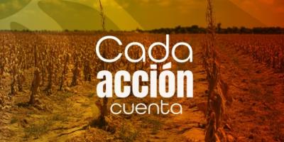 Campaña Cada acción cuenta