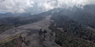 Avalanchas de material volcánico llegan al límite de la vegetación en el Volcán de Fuego