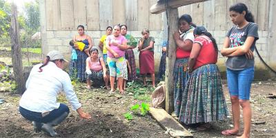 Huertos familiares contribuyen a la seguridad alimentaria en La Providencia, Poptún