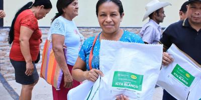 Nueva variedad de sorgo, alternativa para la alimentación y mejora de producción de granos básicos