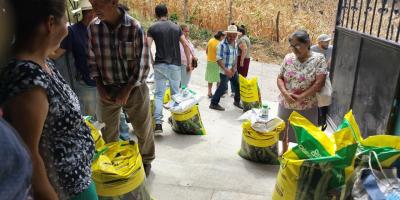 Productores de frijol del Corredor Seco reciben insumos para fortalecer sus cultivos