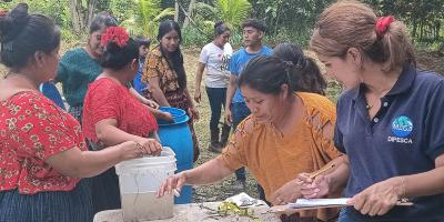 Productores mejoran manejo de tilapia en Sayaxché