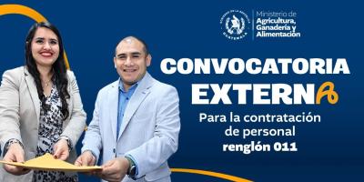 Convocatoria externa para contratación de personal renglón 011