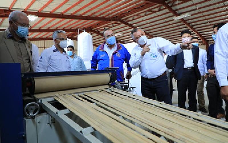 Visita al centro de bambú