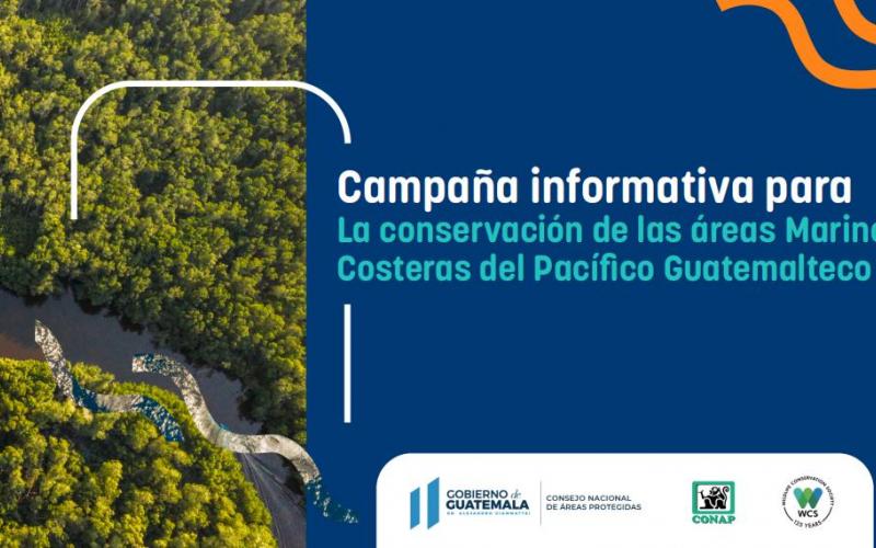 La diversidad biológica que poseen las áreas marinas costeras de nuestro país es fundamental para asegurar los medios de vida de las comunidades locales