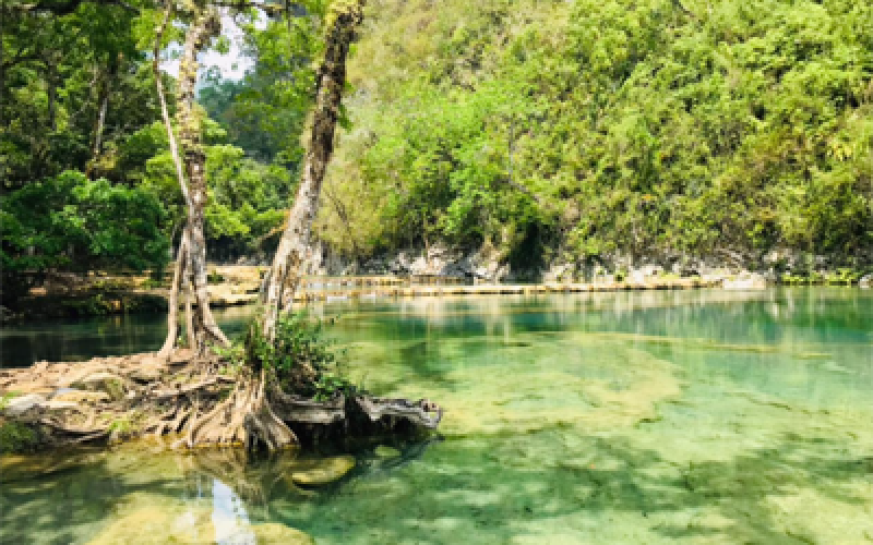 semuc champey