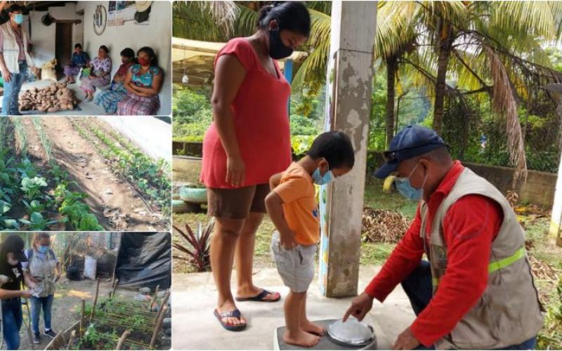 Secretaría de Seguridad Alimentaria y Nutricional 