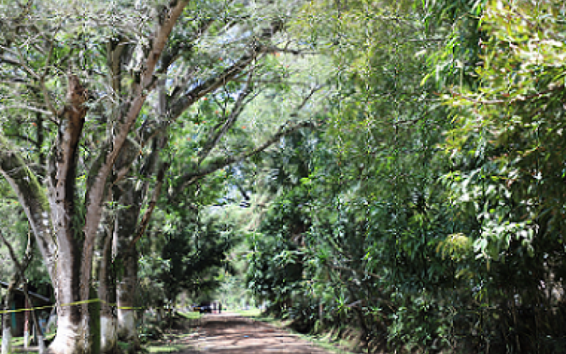 Guatemala tiene bellos paisajes