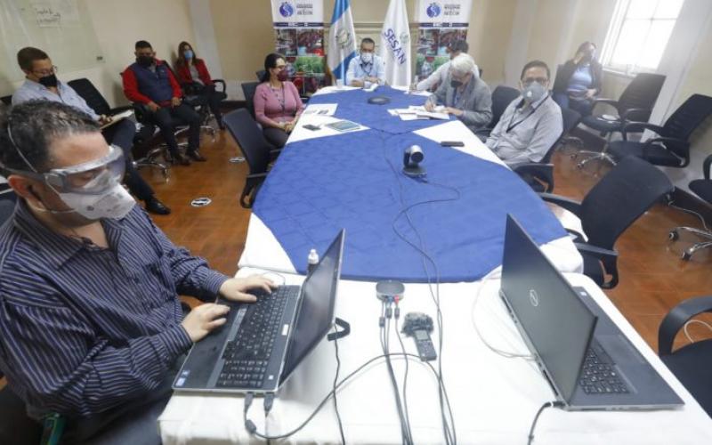 Secretaría de Seguridad Alimentaria y Nutricional 