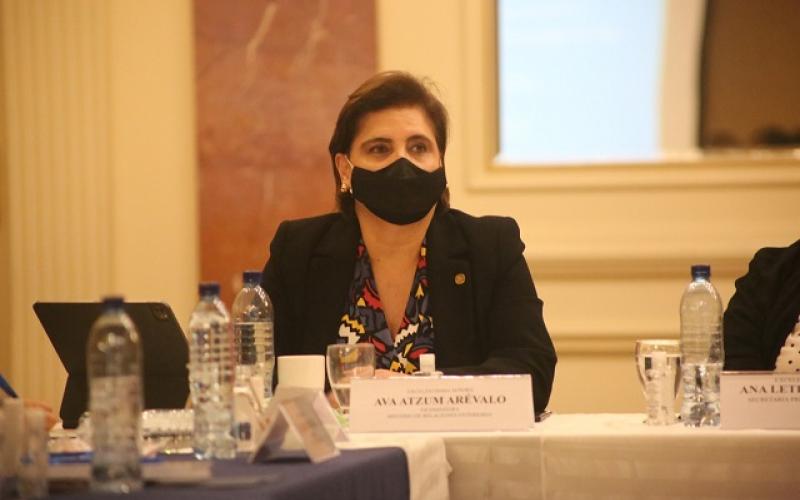 Vicecanciller Ava Atzum