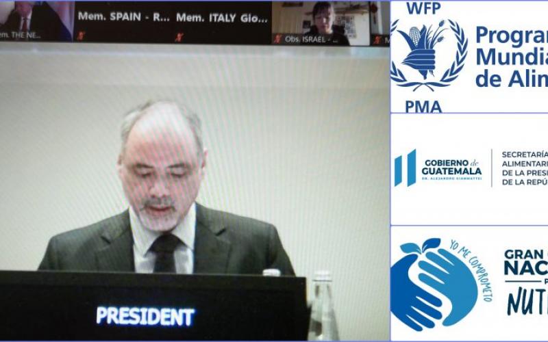 Secretaría de Seguridad Alimentaria y Nutricional 